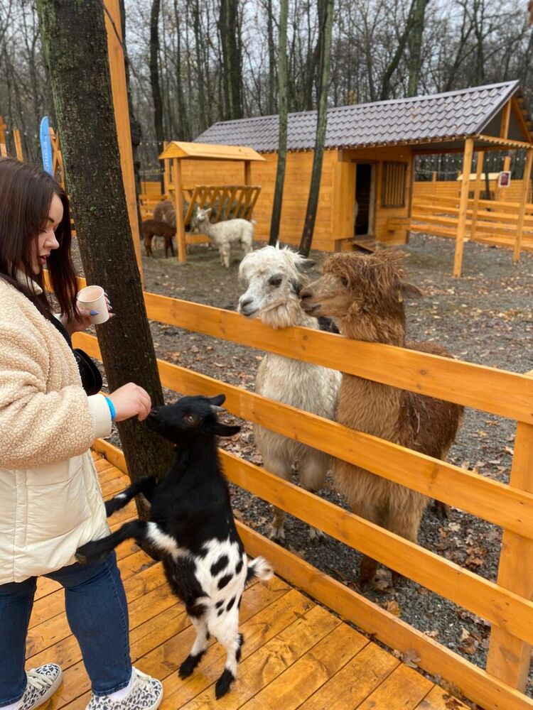 ���������� ���, ���� ������� ������, 31 ���, ������������ ��� ����� � ���������, c�������� ���������, ���������