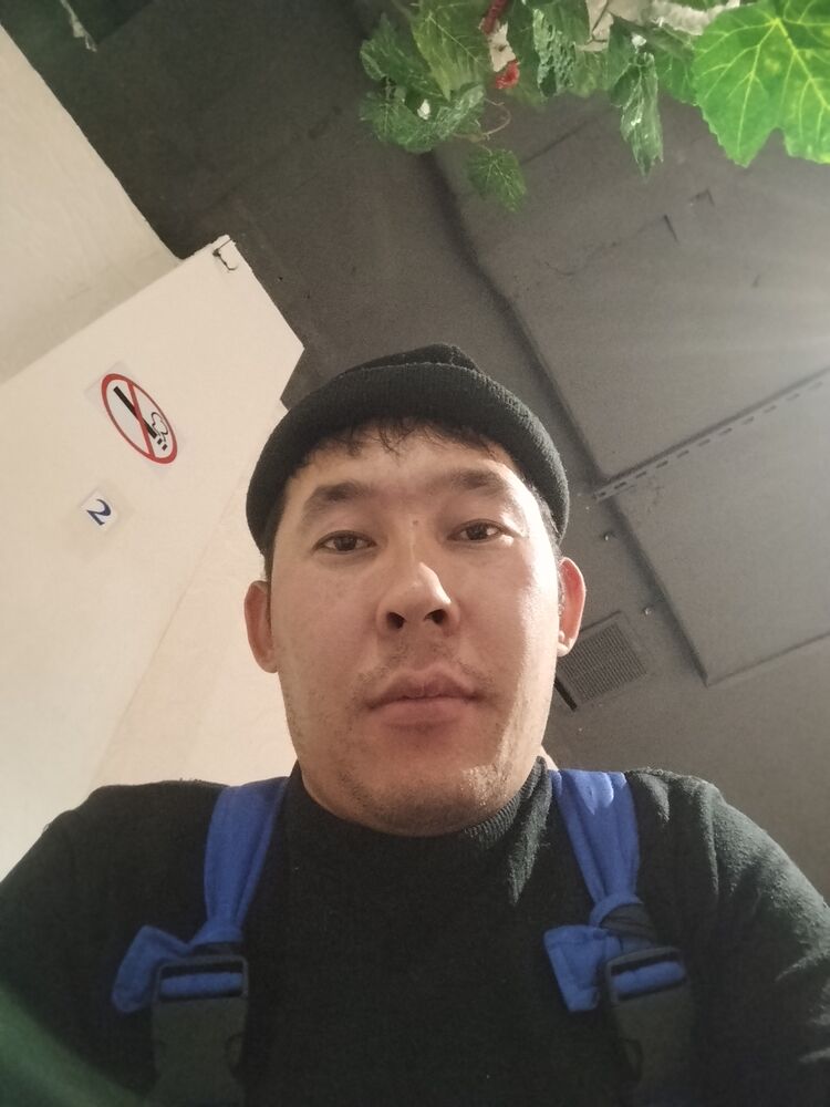  49830134  , 29 ,    