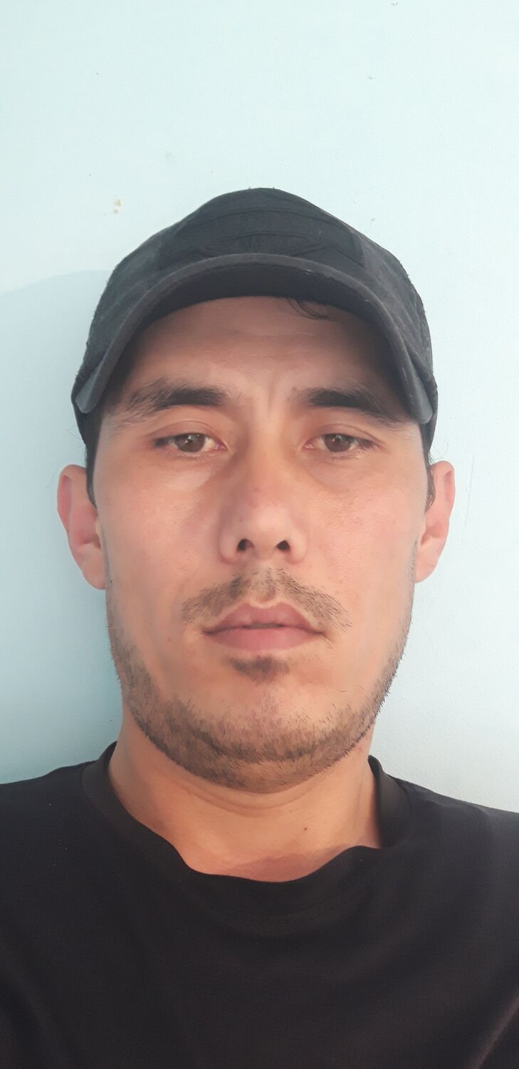  33809954  , 32 ,    