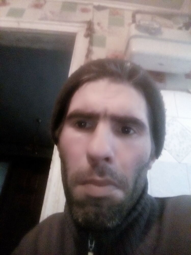  24609324  , 41 ,    
