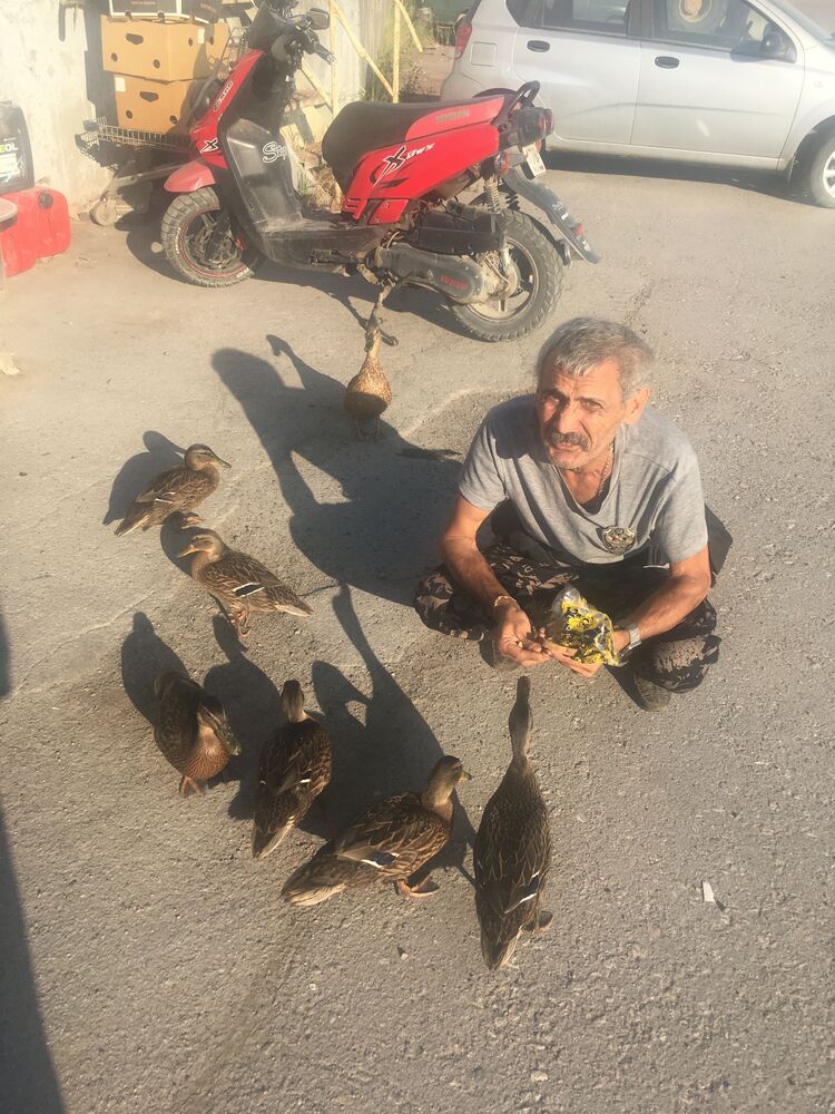 ���������� �����-���������, ���� ������� �������, 60 ���, ������������ ��� ������, ����� � ���������, c�������� ���������