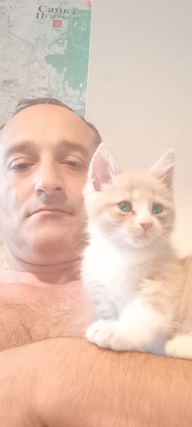 ���������� �����-���������, ���� ������� ������, 47 ���, ������������ ��� ������, ����� � ���������