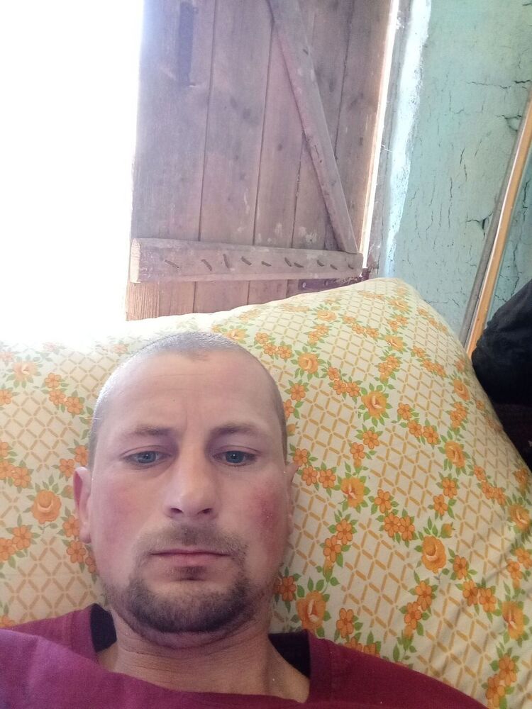  51874594  , 29 ,    