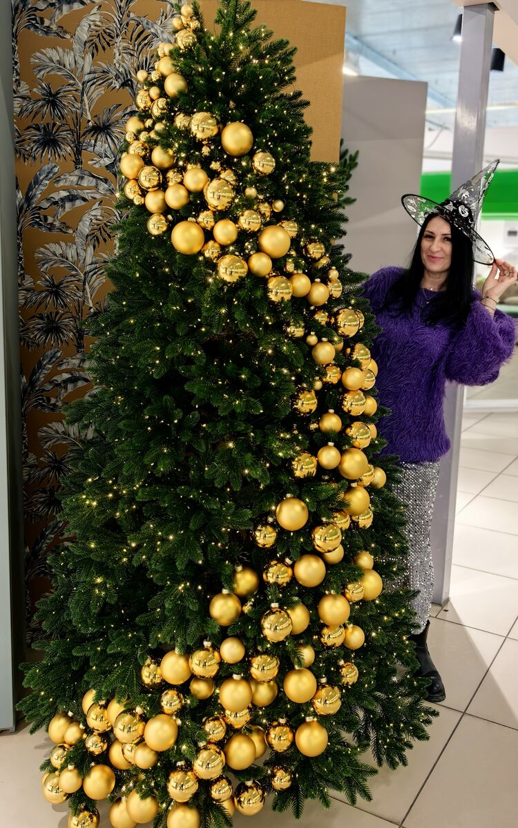 ���������� �����������, ���� ������� ������, 56 ���, ������������ ��� ������, ����� � ���������, c�������� ���������