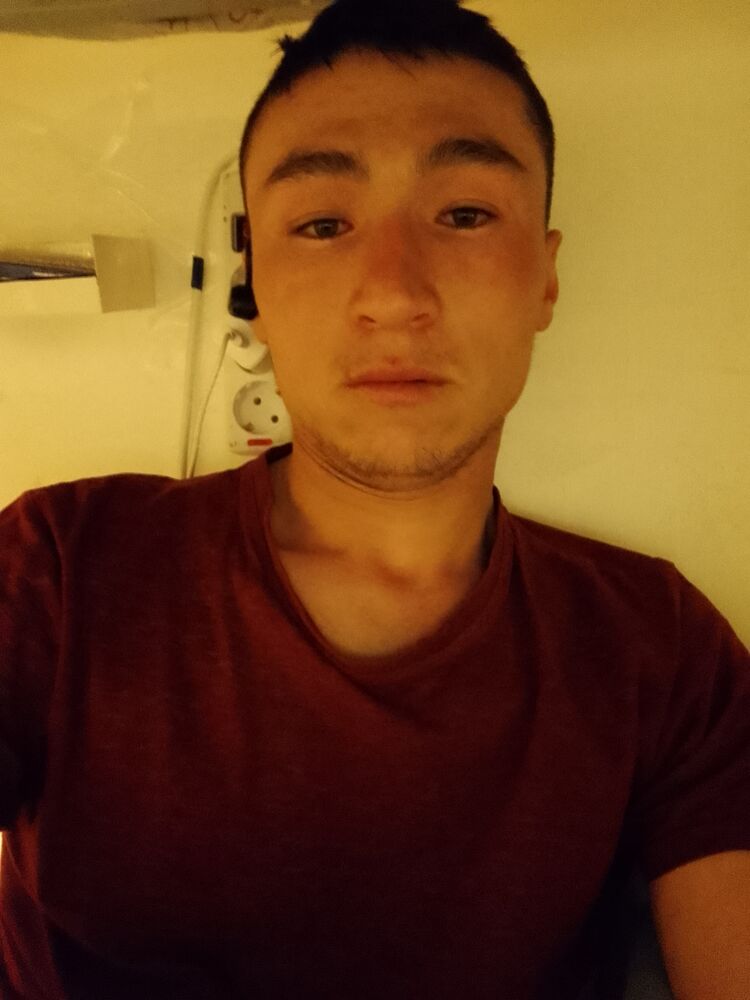  43497464  , 33 ,    