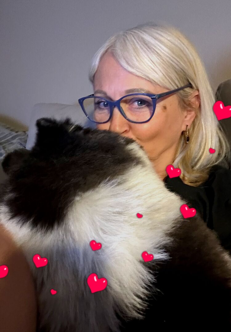 ���� 55710164 ������� ���������, 53 ����, ���� ���������� � ��������