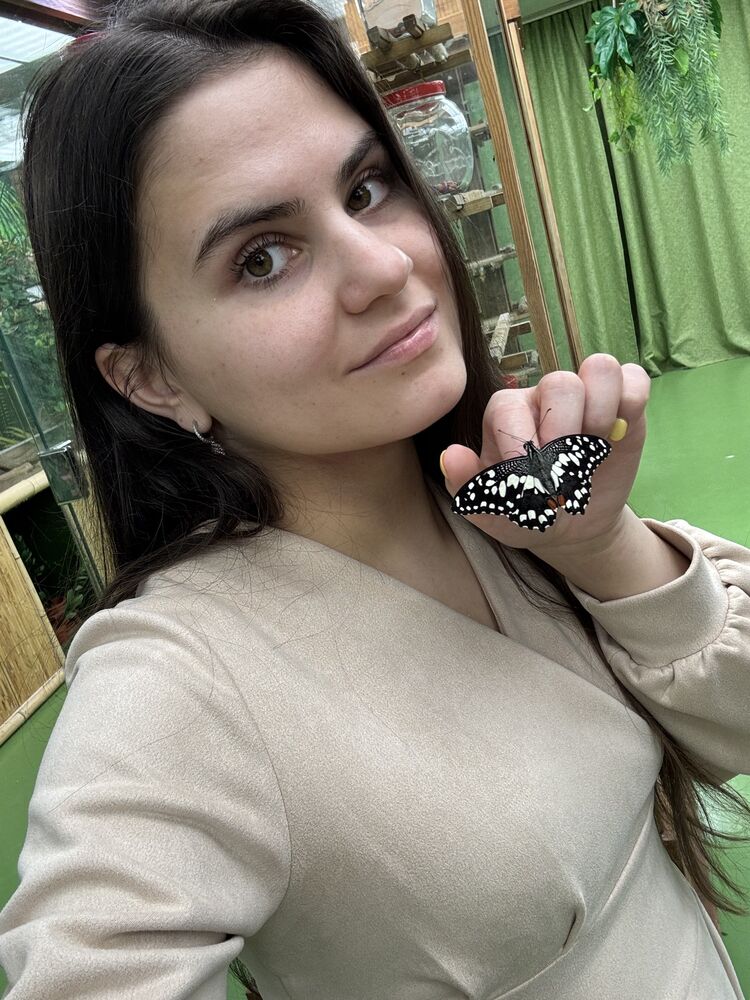 ���������� �����-���������, ���� ������� �������, 27 ���, ������������ ��� ����� � ���������, c�������� ���������