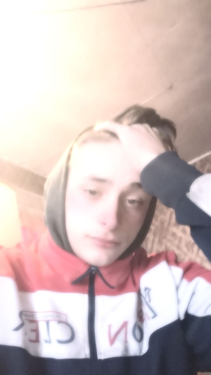  42040504  , 20 ,    