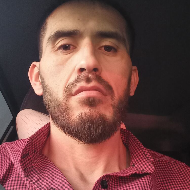  46644064  , 36 ,    