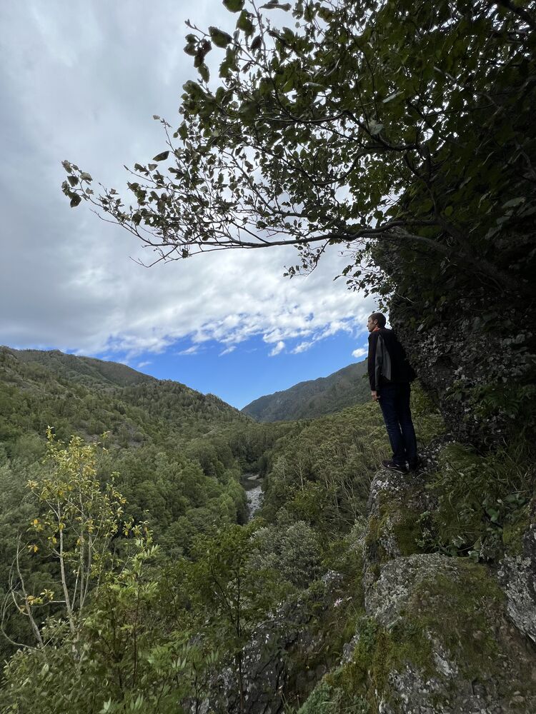 ���������� ������, ���� ������� �������, 38 ���, ������������ ��� ������