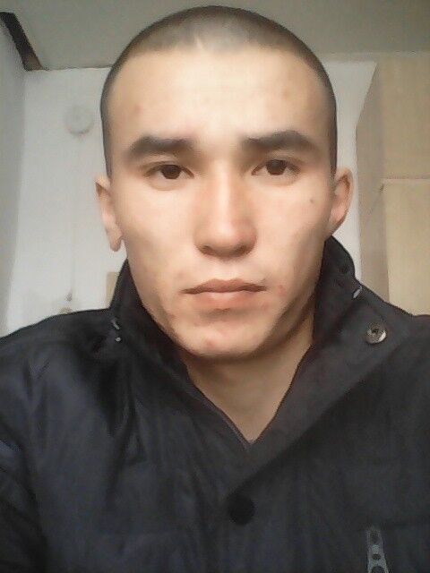  8293994  , 31 ,    -