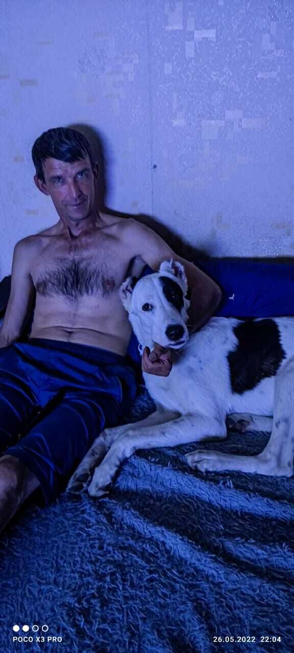 ,   , 47 ,   