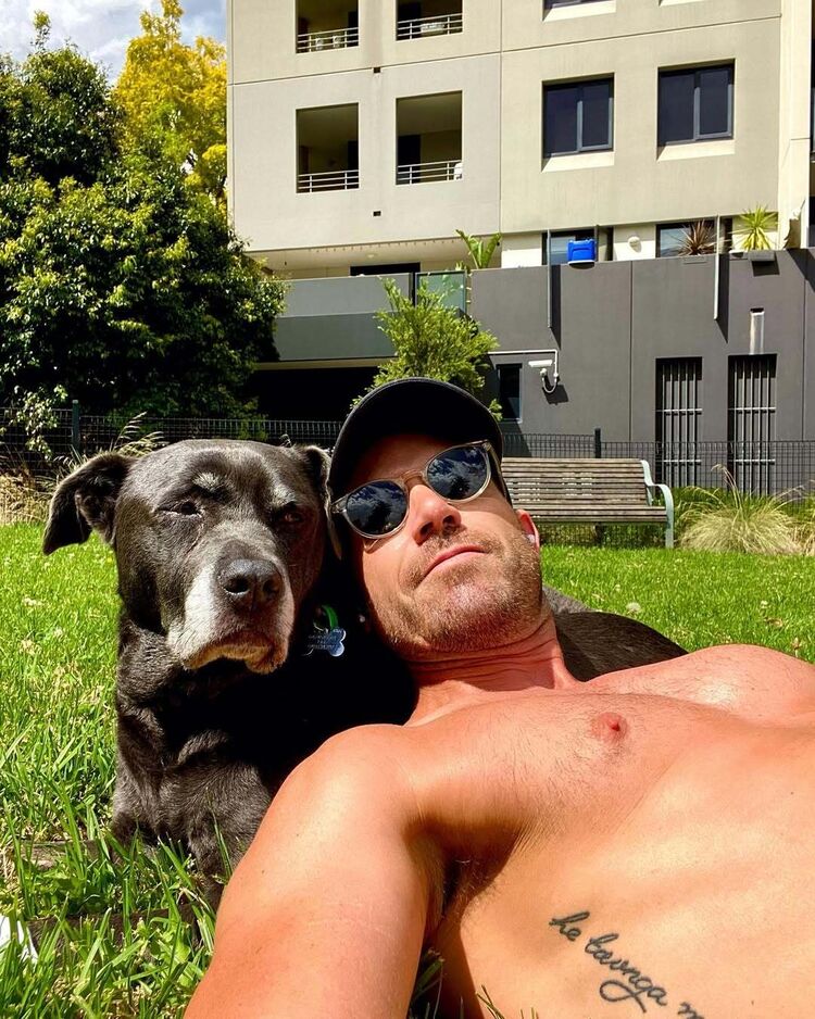 ���� 56226944 ������� �������, 41 ���, ���� ���������� � ����������