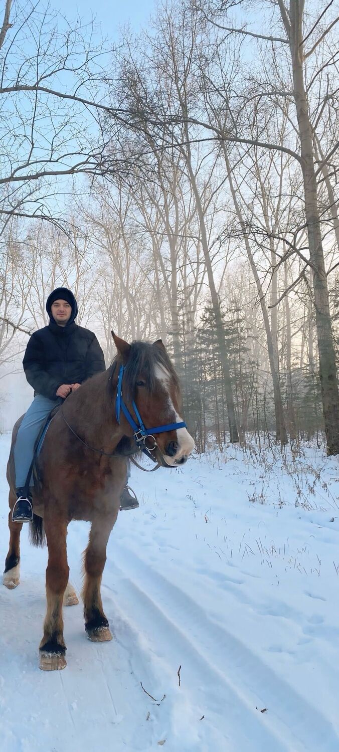 ���������� �����������, ���� ������� ���������, 31 ���, ������������ ��� ������, ����� � ���������, c�������� ���������, ���������