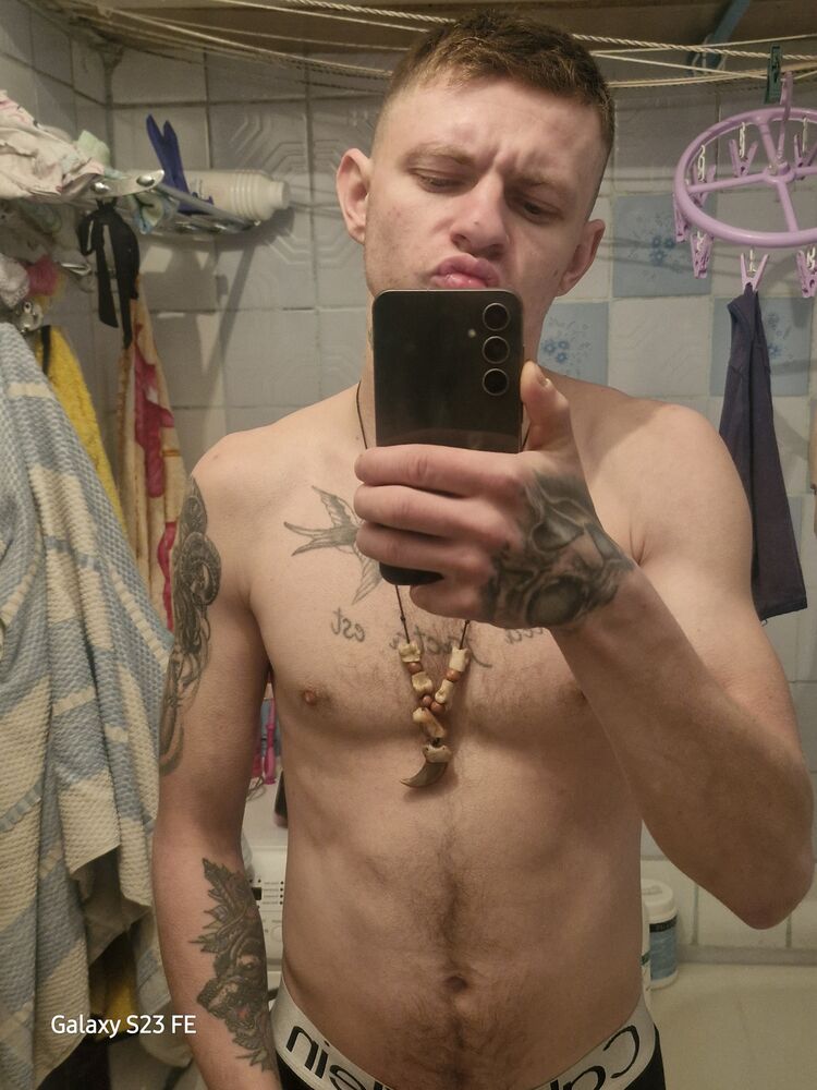  52849974  , 26 ,    