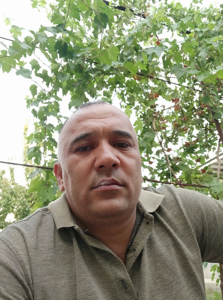  28821154  , 49 ,    