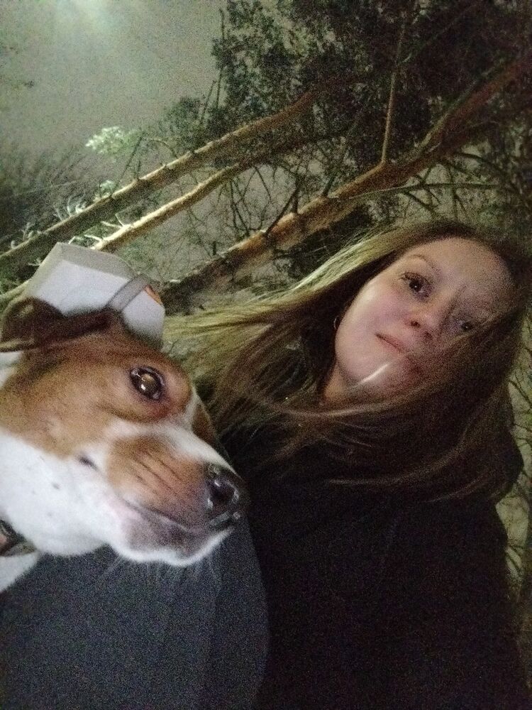 ���� 55228034 ������� ����, 36 ���, ���� ���������� � ������