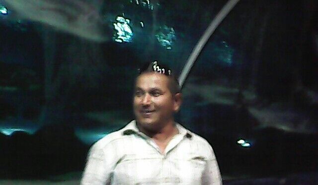  ,   , 52 ,  