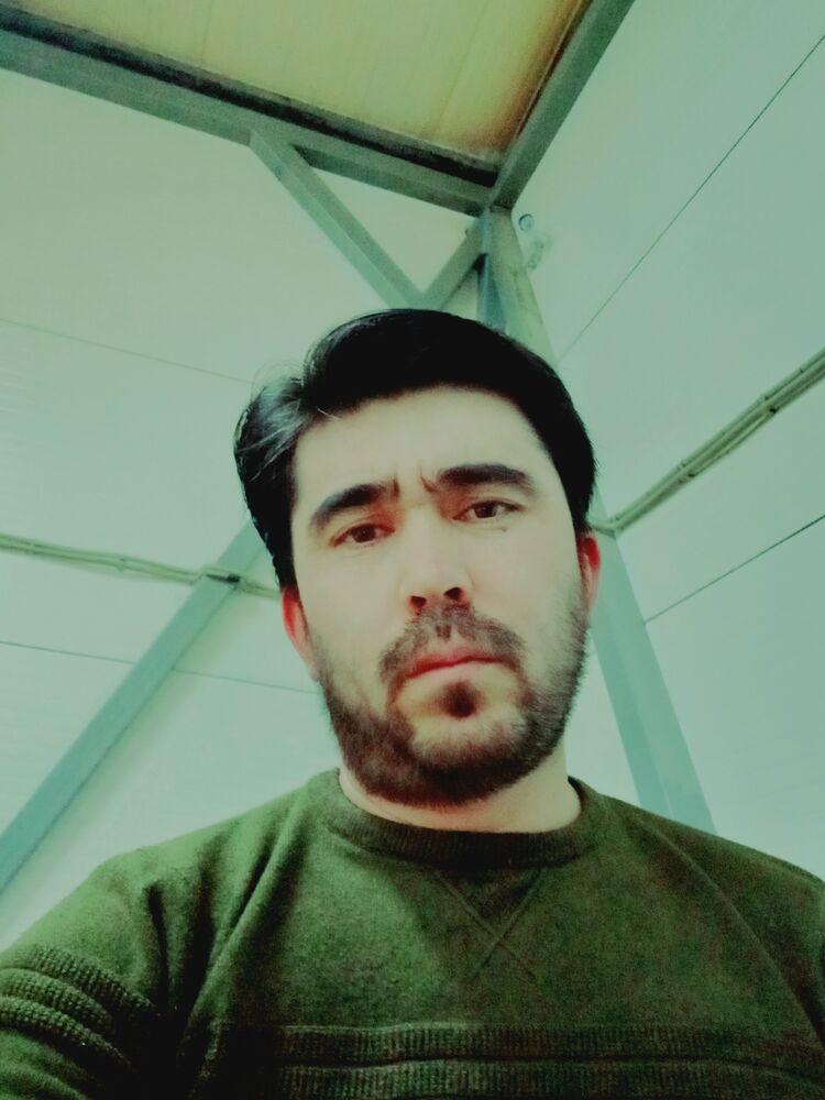 ���� 25057614 ������� �����, 33 ����, ���� ���������� � �����-����������