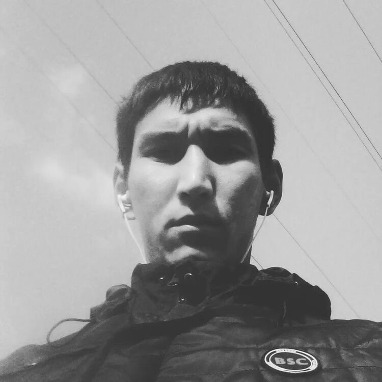 ���� 28594874 ������� �����, 33 ����, ���� ���������� � ���������