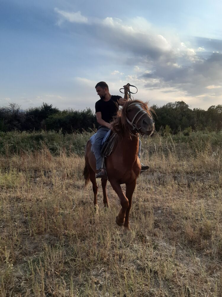 ���������� ������, ���� ������� �������, 40 ���, ������������ ��� ����� � ���������, c�������� ���������