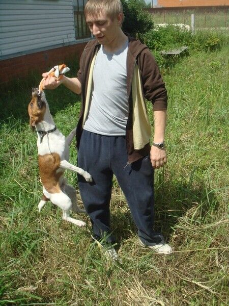 ���������� ������, ���� ������� �������, 39 ���, ������������ ��� ������, ����� � ���������, c�������� ���������