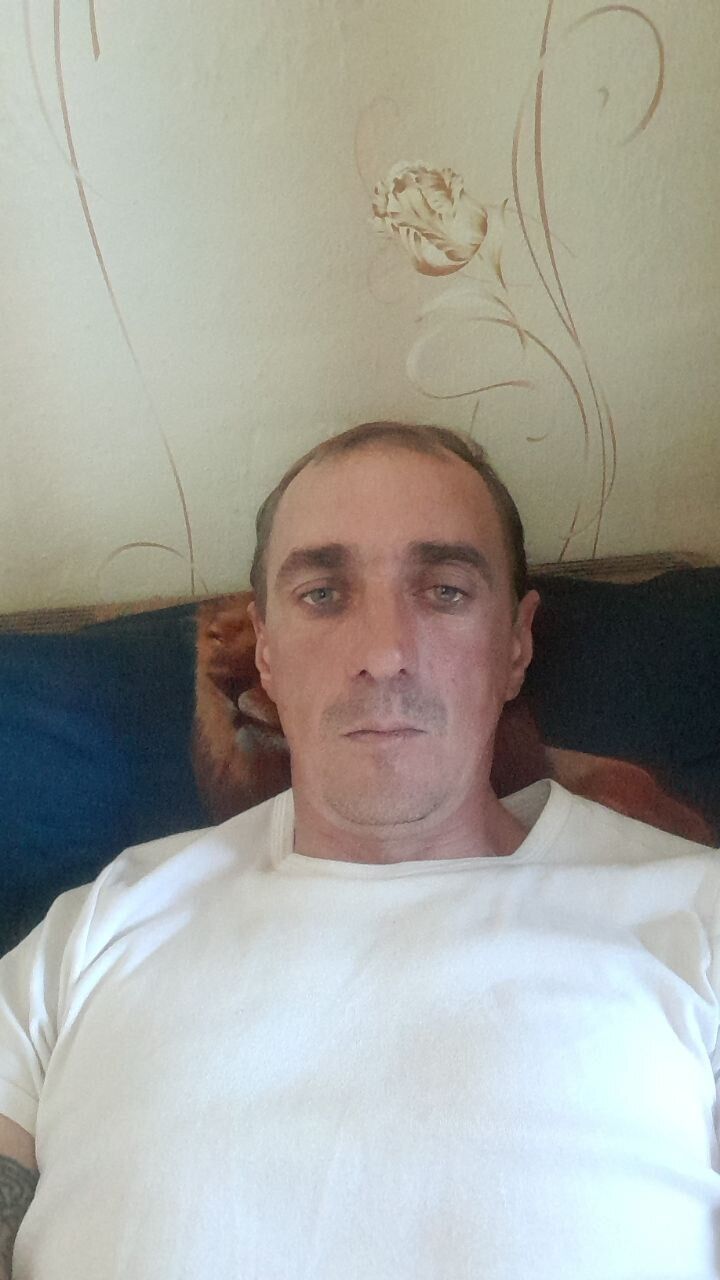  48003594  , 41 ,    