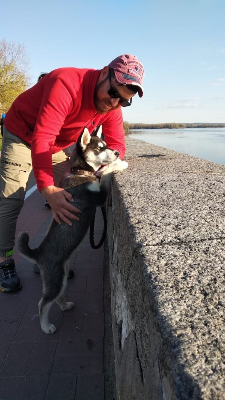 ���� 25106264 ������� Mehmet, 33 ����, ���� ���������� � �����