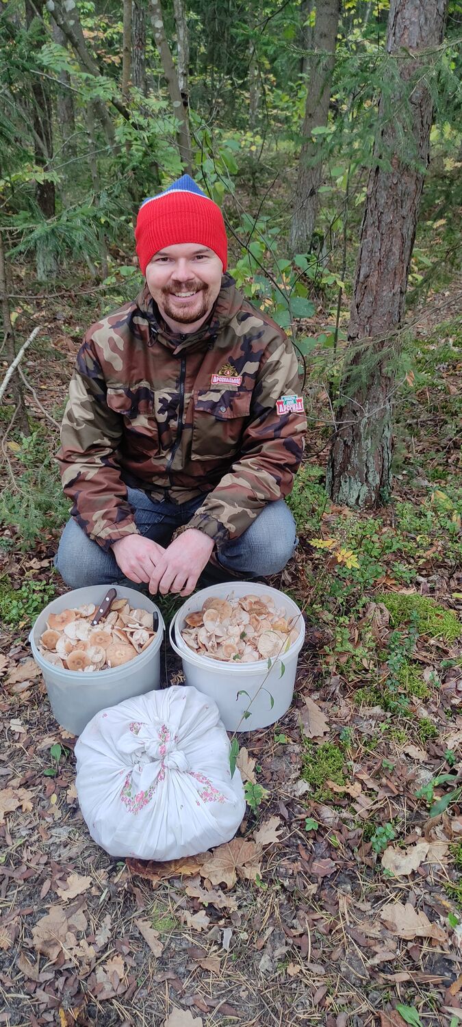 ���������� ������, ���� ������� ����, 38 ���, ������������ ��� ������, ����� � ���������, c�������� ���������, ���������