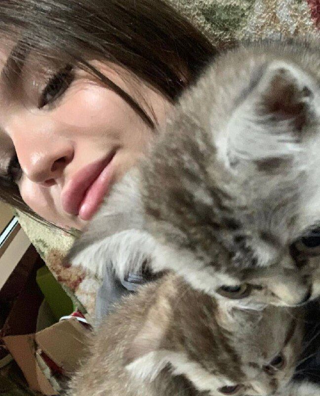 ���������� �����, ���� ������� ����, 26 ���, ������������ ��� ������, ����� � ���������