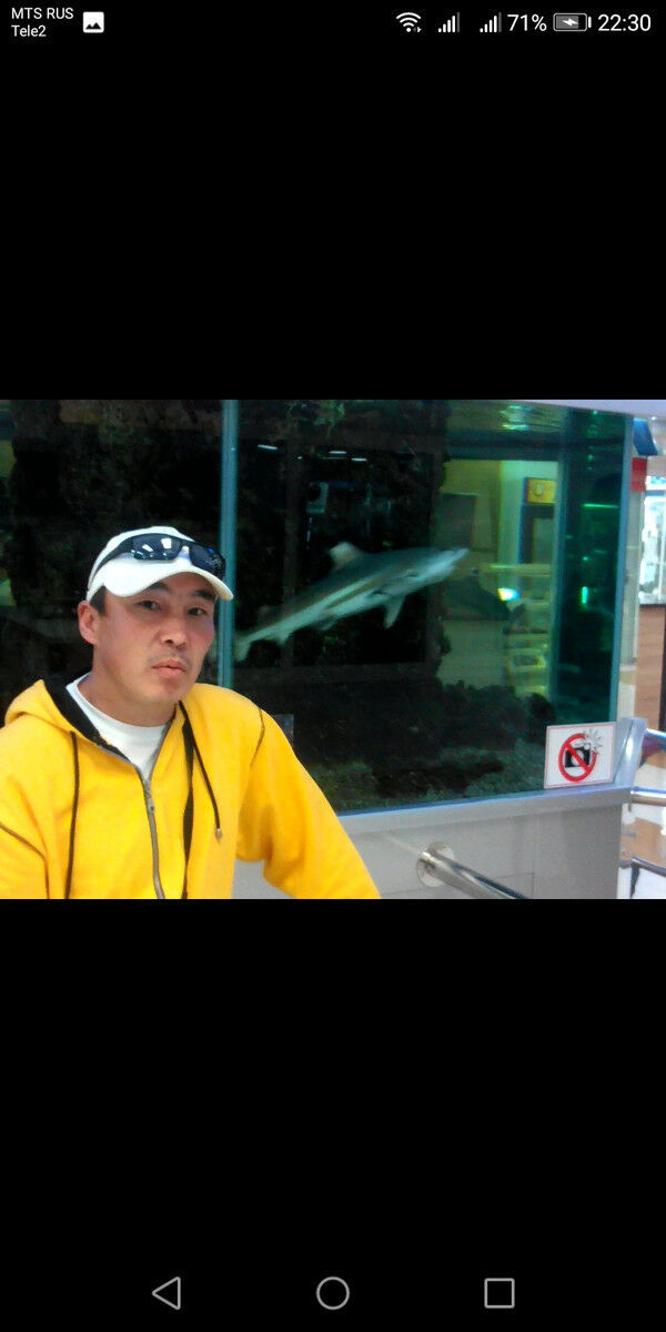 ���������� ������, ���� ������� ������, 43 ����, ������������ ��� ������, ����� � ���������, c�������� ���������