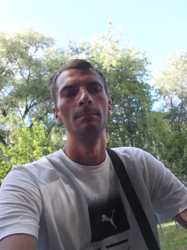  28155394  , 33 ,    