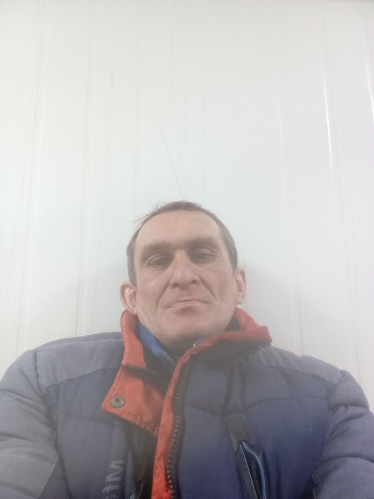  50139684  , 41 ,    