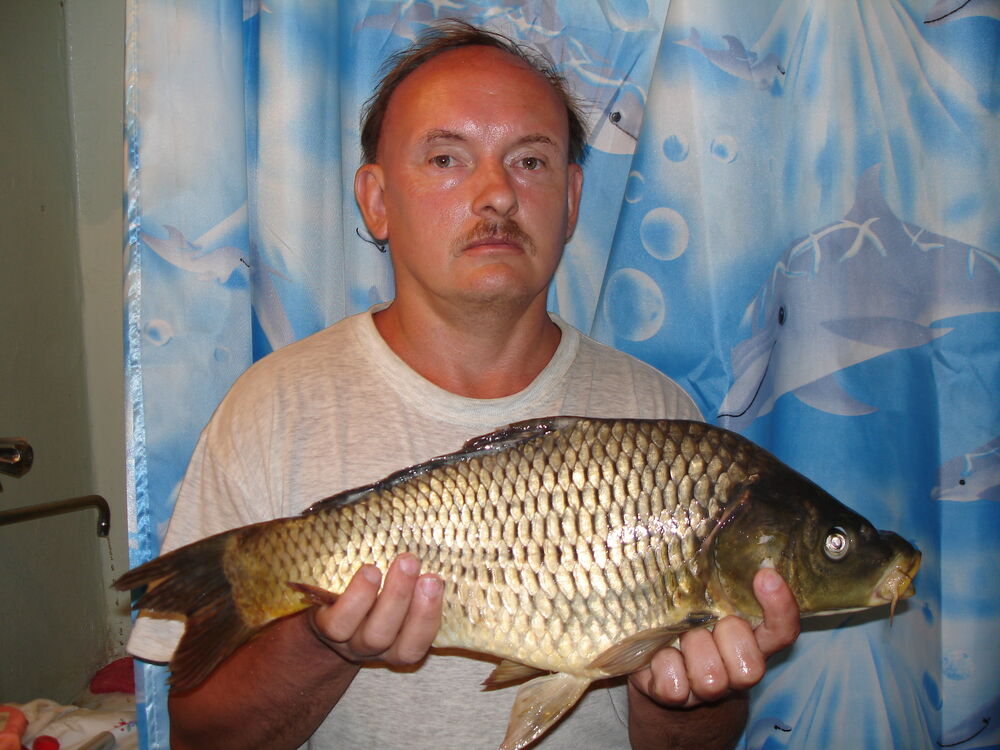 ���������� ������, ���� ������� Strong, 37 ���, ������������ ��� ������, ����� � ���������