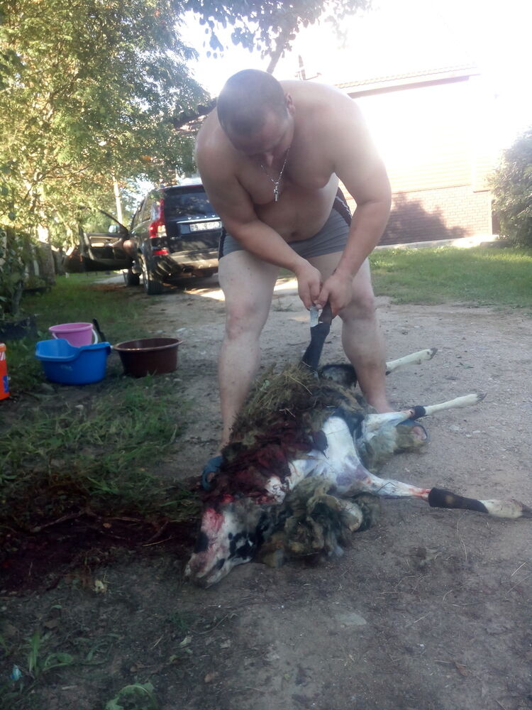  ,   , 39 ,   