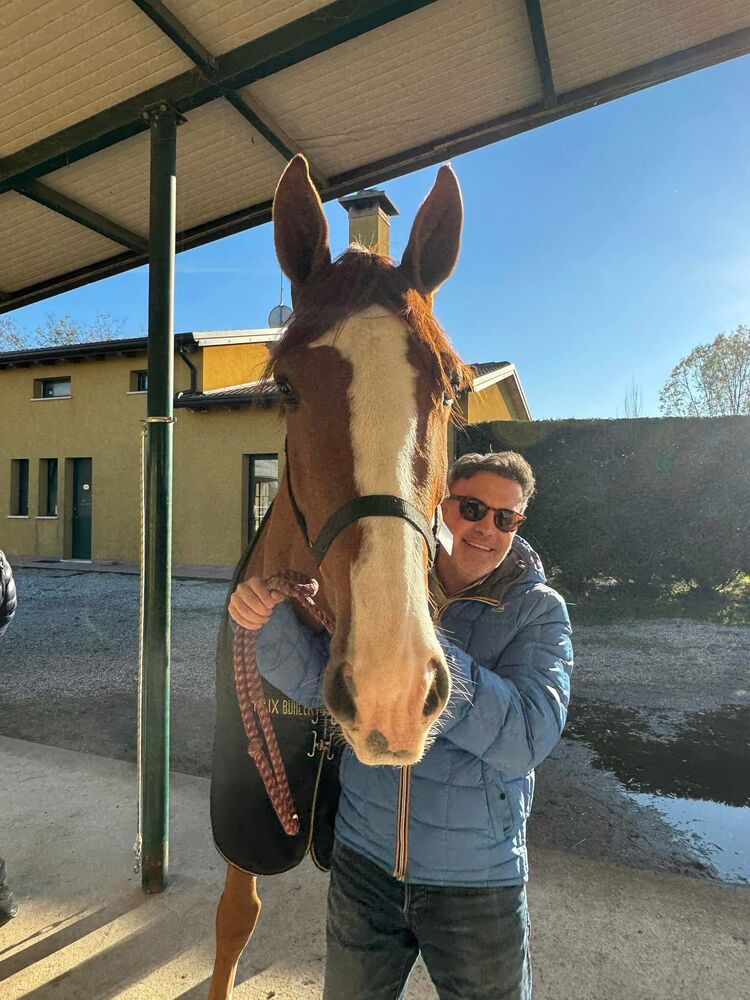  53723594  Papa, 66 ,    