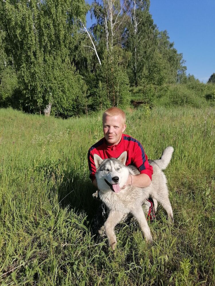 ���� 37973244 ������� ���������, 32 ����, ���� ���������� � ������ ���������