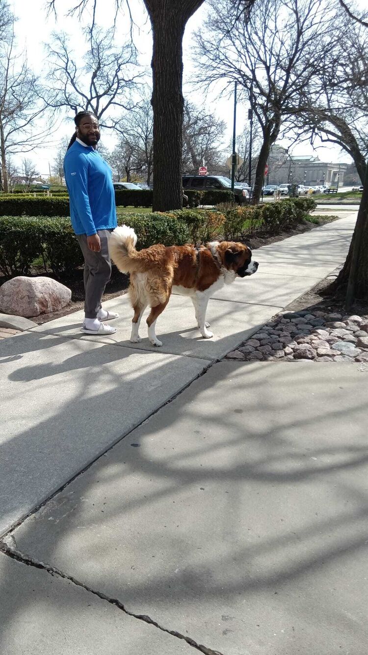 ���� 41857344 ������� ������, 35 ���, ���� ���������� � ����������