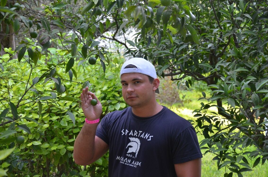 ���������� ������, ���� ������� ������, 40 ���, ������������ ��� ������, ����� � ���������