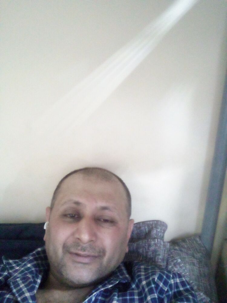  33728294  , 41 ,     