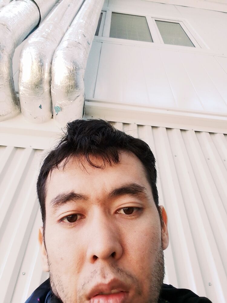  33231754  , 33 ,    