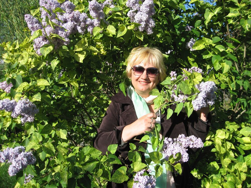 ���� 55796034 ������� �������, 60 ���, ���� ���������� � �������