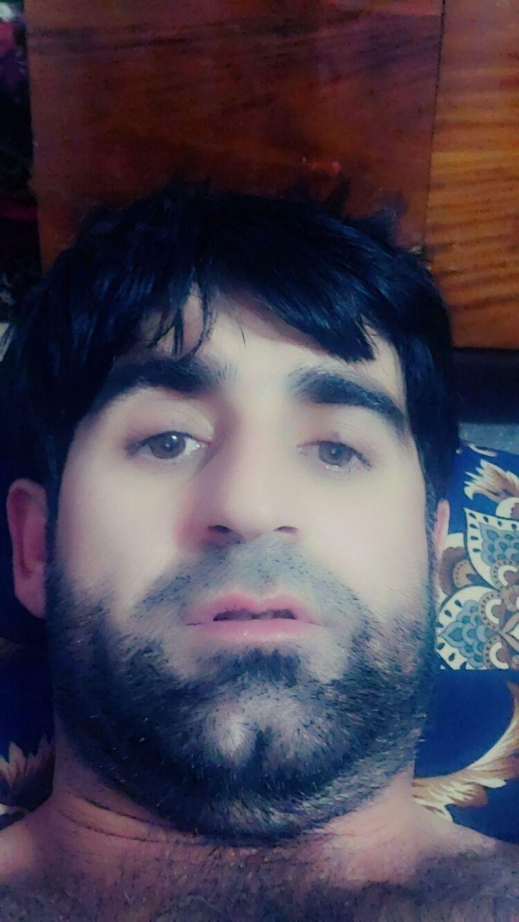  48332534  , 36 ,    