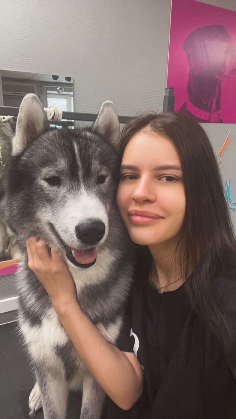 ���������� ��������, ���� ������� ���������, 23 ����, ������������ ��� ���������