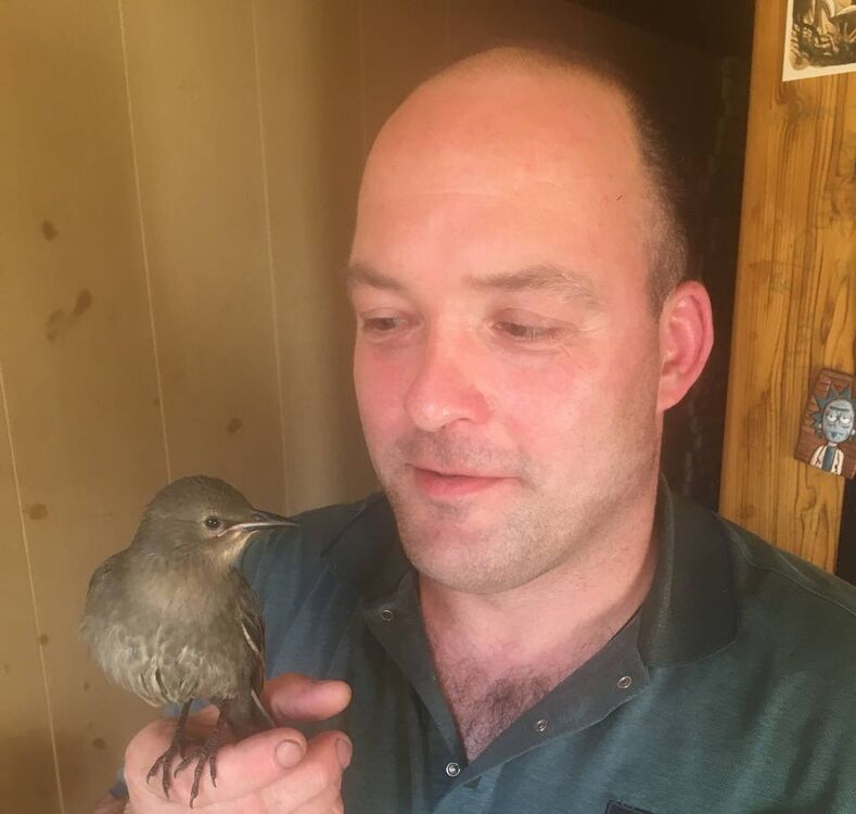 ���� 35066184 ������� �����, 41 ���, ���� ���������� � ����