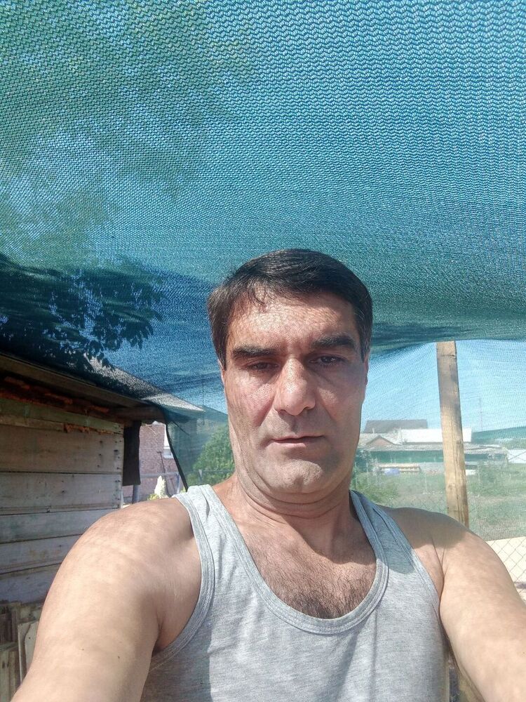  31953734  , 50 ,    -