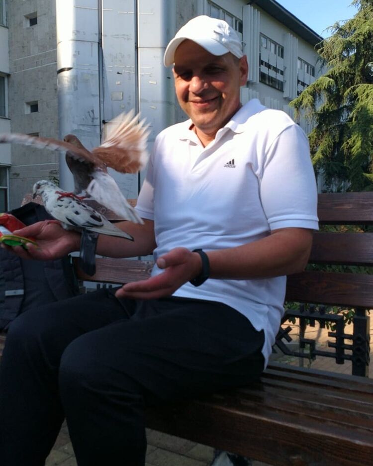  ,   , 53 ,   ,   