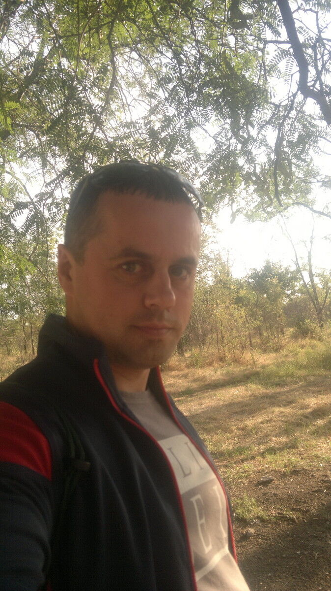  13064294  , 43 ,    