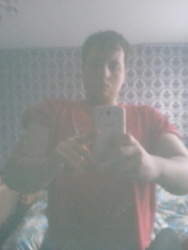  4538024  , 33 ,    