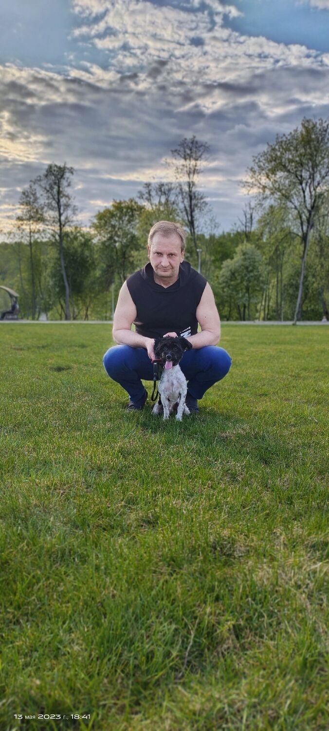 ���� 42655044 ������� ���������, 48 ���, ���� ���������� � ������